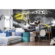 Fotobehang van een voetballer in actie in een stadion, ideaal voor een kinderkamer.