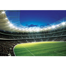 Een voetbalstadion met kinderen die voetballen is op dit fotobehang te zien.