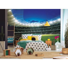 Fotobehang van een stadion met jongens op een voetbalveld, perfect voor de kinderkamer.