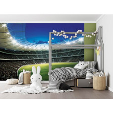 Fotobehang van een voetbalveld in een stadion, geschikt voor een tienerkamer.