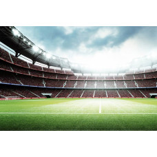 3D-fotobehang van een stadion met volle tribunes, waarbij een voetbalwedstrijd op het punt staat te beginnen.