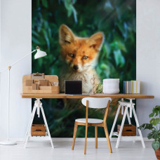 Een fotobehang van een vos in de natuur, geschikt voor een kantoor.