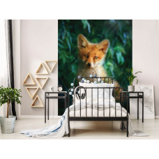 Een fotobehang van een vos in een avontuurlijke kinderkamer.