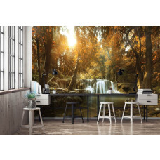 Een fotobehang met een waterval in een herfstbos met bomen en een boom in de woonkamer en kantoor.