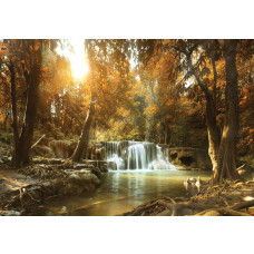 Waterval omringd door herfstbomen met kleurrijke bladeren op fotobehang.