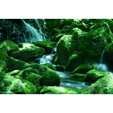Fotobehang van watervallen die tussen de rotsen doorstromen, met een weelderig groen bos eromheen.