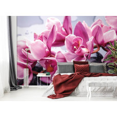 Een wellness fotobehang met een spa en sauna met bloemen en stenen te zien in de slaapkamer.