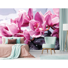 Een wellness fotobehang met een spa en sauna met bloemen en stenen te zien in de slaapkamer en woonkamer.