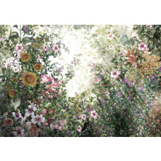 Fotobehang van een wilde tuin met bloemen, kleurrijk en natuurlijk.