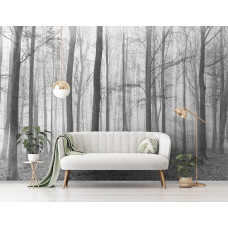 Een fotobehang van een winterbos met bomen te zien in de slaapkamer.