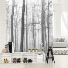 Een fotobehang van een winterbos met bomen te zien in de woonkamer.