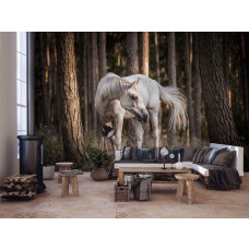 Een fotobehang met een wit paard in het bos omringd door bomen voor de huiskamer.