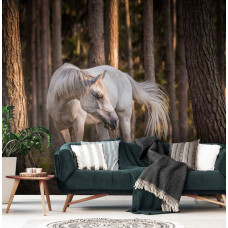 Een fotobehang met een wit paard in het bos omringd door bomen voor de woonkamer.