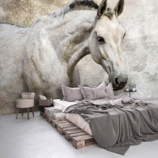 Een fotobehang van een wit paard voor de slaapkamer.