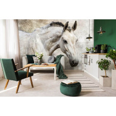 Een fotobehang van een wit paard voor de woonkamer.