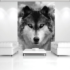 Een fotobehang met een zwarte en witte afbeelding van een wolf in een bos.