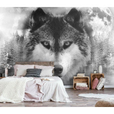 Een fotobehang van een wolf in zwart-wit in een bos, passend voor de slaapkamer.