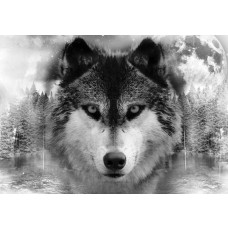 Zwart-wit fotobehang met een wolf in een natuurlijk bos, ideaal voor een rustgevende ruimte.