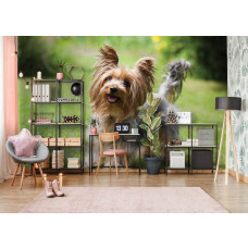 Een fotobehang van een Yorkshire Terriėr hond in een kinderkamer.