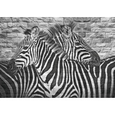 Zebra schildering op een stenen muur, fotobehang dat dieren en kunst samenbrengt.