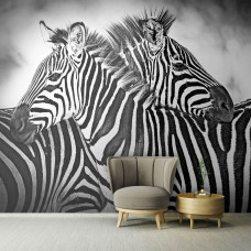 Een fotobehang met een close-up van zebra's in zwart-wit in een Afrikaanse setting.
