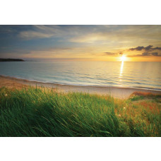 Fotobehang van een zee bij zonsondergang, met een serene strandomgeving.