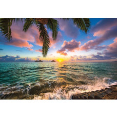 Zonsondergang boven de zee met een palmboom op de voorgrond, fotobehang dat een warme en ontspannen sfeer creëert.