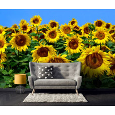 Een fotobehang met zonnebloemen voor de slaapkamer.