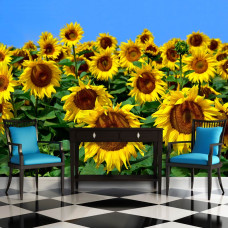 Een fotobehang met zonnebloemen voor de woonkamer.