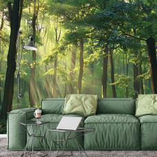 Fotobehang met een groen bos verlicht door zonnestralen in een natuurlijk ingerichte woonkamer.