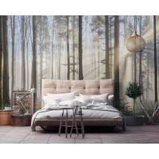 Een fotobehang van zonnestralen die door de bomen in het bos schijnen te zien in de woonkamer en slaapkamer.