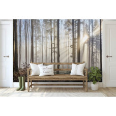 Een fotobehang van zonnestralen die door de bomen in het bos schijnen te zien in de woonkamer.