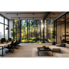 Fotobehang van een dennenbos met natuurlijk licht in een eigentijds kantoor.