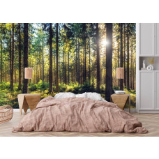 Fotobehang met een zonnig boslandschap in een moderne slaapkamer.
