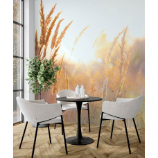 Fotobehang Zonnig Grasland in de Ochtend in een keuken met warme en rustige sfeer.