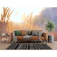 Fotobehang Zonnig Grasland in de Ochtend in een woonkamer met licht en rust.