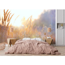 Fotobehang Zonnig Grasland in de Ochtend in een slaapkamer met warme voorjaarskleuren.