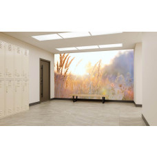 Fotobehang Zonnig Grasland in de Ochtend in een sportschool met zachte ochtendtinten.