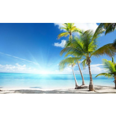 Zonnig strand met palmbomen en een felblauwe zee, met een heldere zon die warmte uitstraalt, fotobehang voor een exotische sfeer.