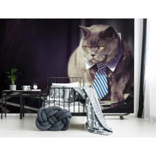 Een fotobehang met een zwarte kat in zakenkostuum voor de kinderkamer.
