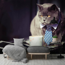 Een fotobehang van een zwarte kat in een zakelijke omgeving, ideaal voor de woonkamer.