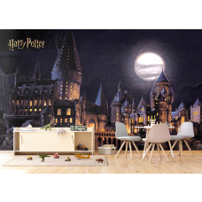Een fotobehang met Zweinstein bij volle maan in de woonkamer, waarin de sprookjesachtige verlichting van het kasteel en de heldere sterrenhemel een betoverend effect geven.