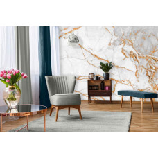 Een marmeren behang met gouden versieringen, ideaal voor een luxe woonkamer.