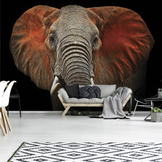 Een fotobehang met een olifant voor dierenliefhebbers in de huiskamer.