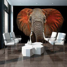 Een fotobehang met een olifant voor dierenliefhebbers in de woonkamer.