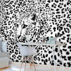 Een panterprint fotobehang met een cheetah, luipaard en jachtluipaard voor het kantoor.