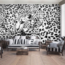 Een panterprint fotobehang met een cheetah, luipaard en jachtluipaard voor de woonkamer.