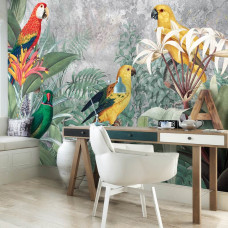 Een fotobehang met jungle papegaaien voor het kantoor.