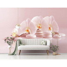 Een spa-fotobehang met wellness-thema, orchideeėn en steentjes te zien in de woonkamer.