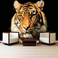 Een fotobehang met een tijger voor de woonkamer.